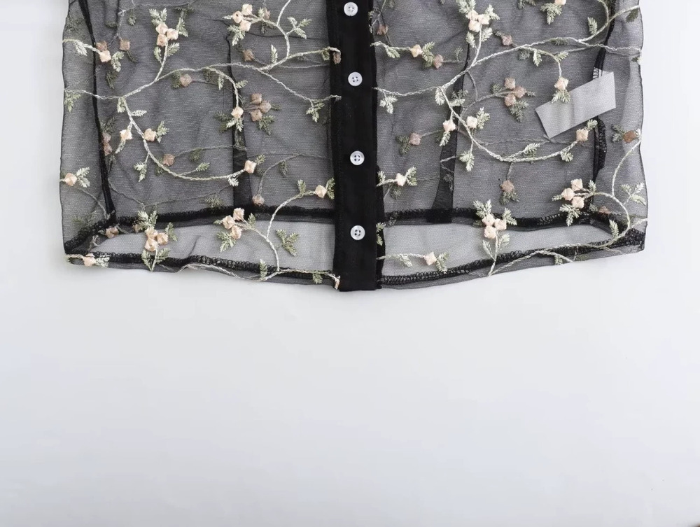 Long Sleeve Sheer Blouse Top